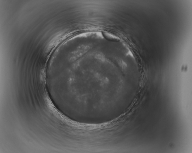 X0000115720002200912031602