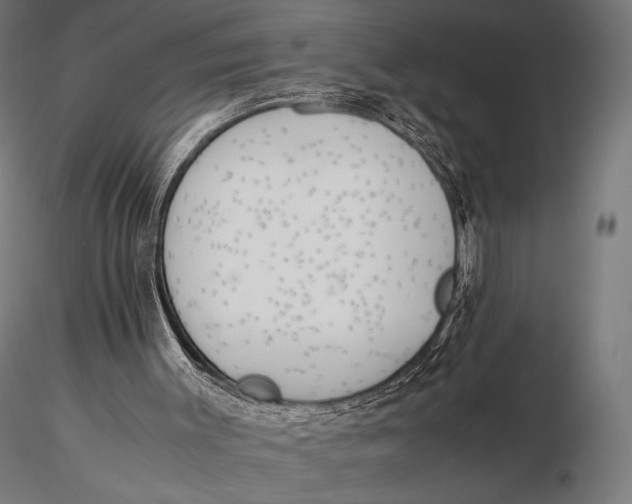 X0000115720003200912031602