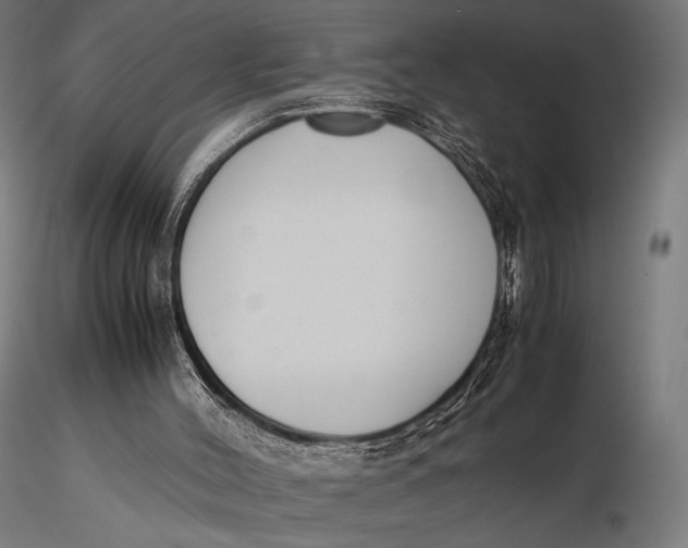 X0000115720004200912031602