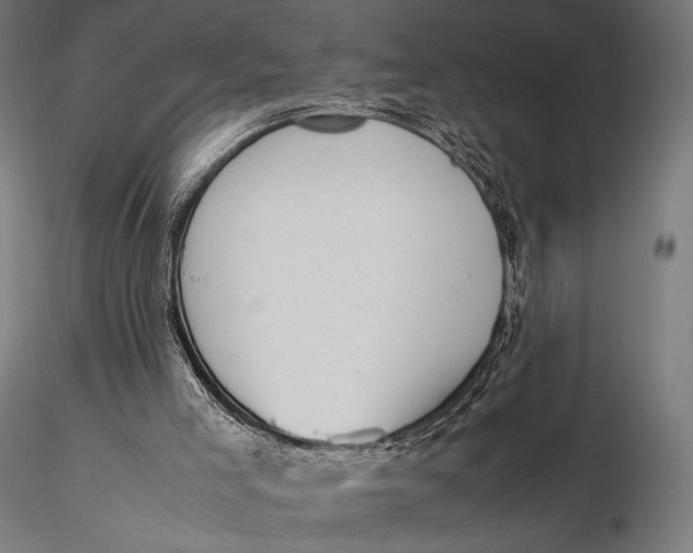 X0000115720005200912031602