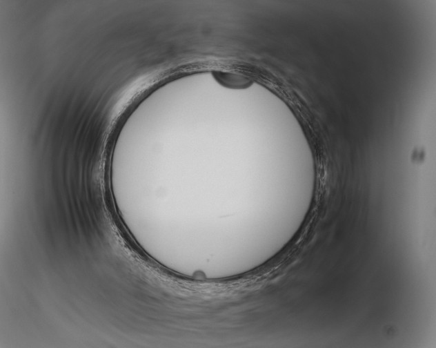 X0000115720006200912031602