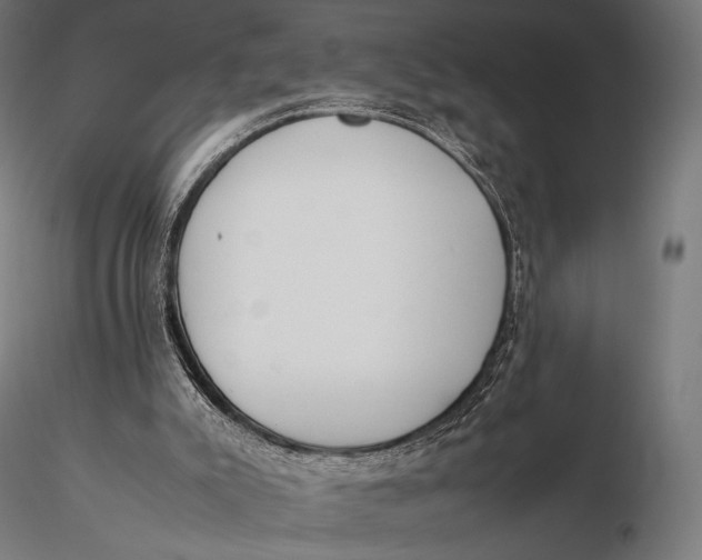 X0000115720007200912031602