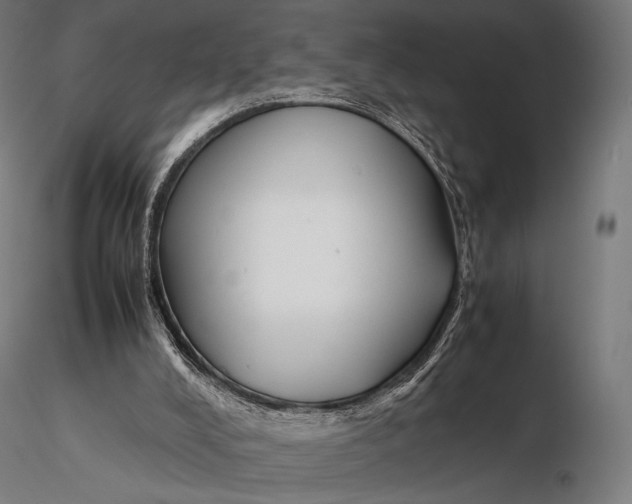 X0000115720008200912031602