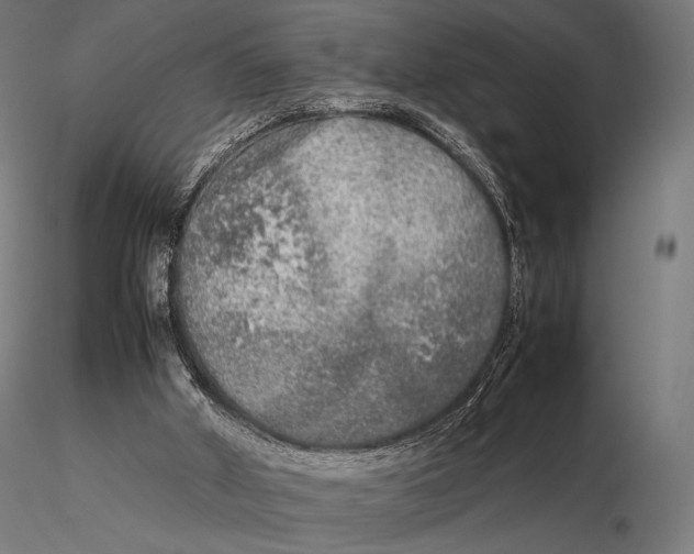 X0000115720010200912031602