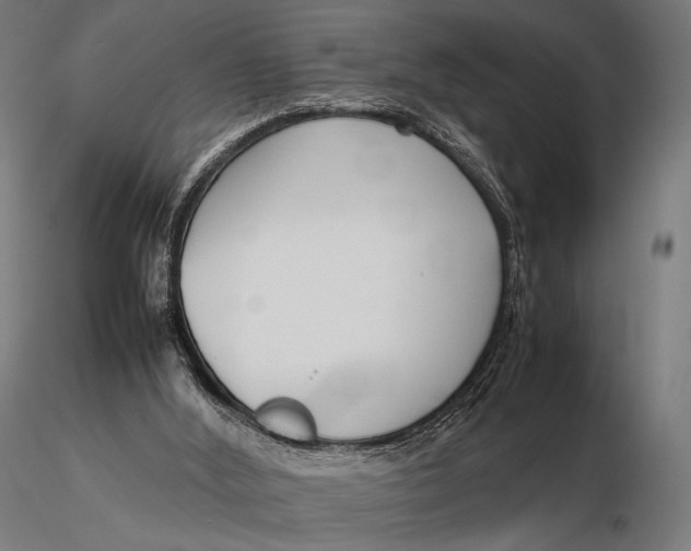 X0000115720012200912031602