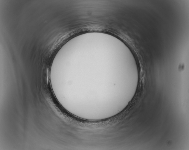 X0000115720013200912031601