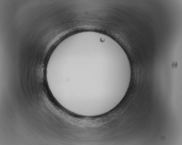 X0000115720016200912031601