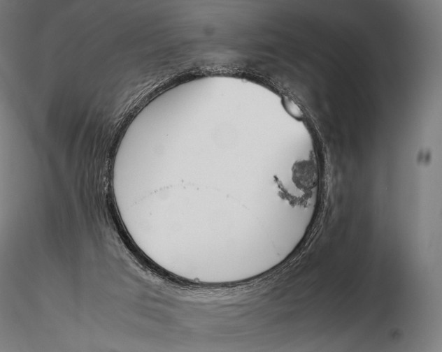 X0000115720017200912031601