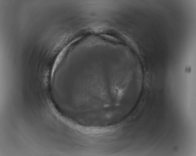 X0000115720018200912031601