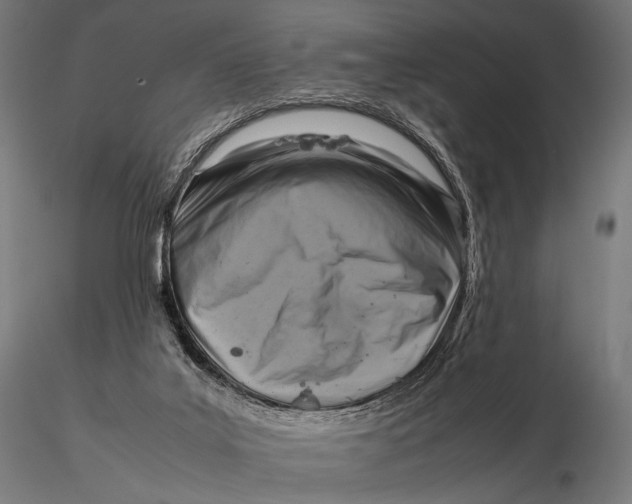 X0000115720019200912031601