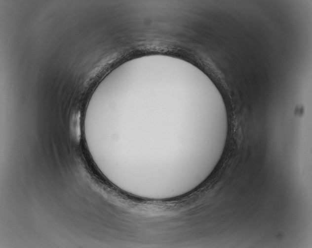 X0000115720020200912031601