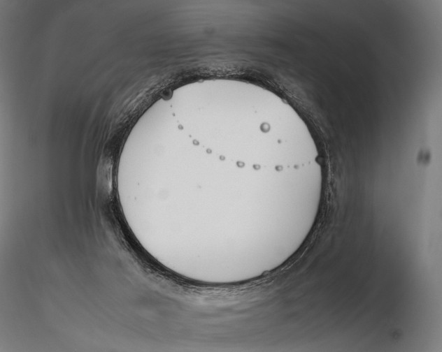 X0000115720021200912031601