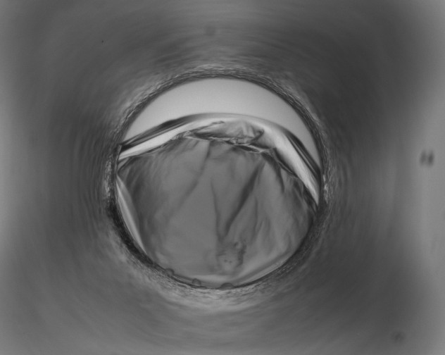 X0000115720023200912031601