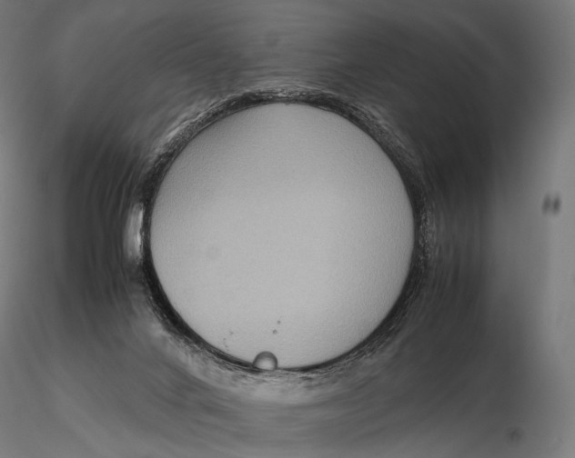 X0000115720024200912031601