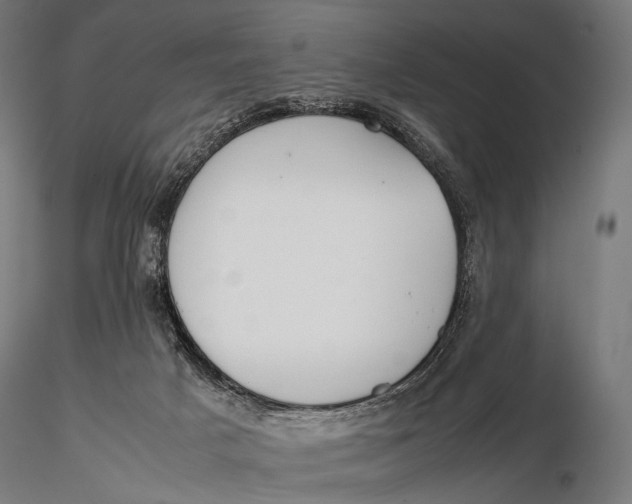 X0000115720025200912031601