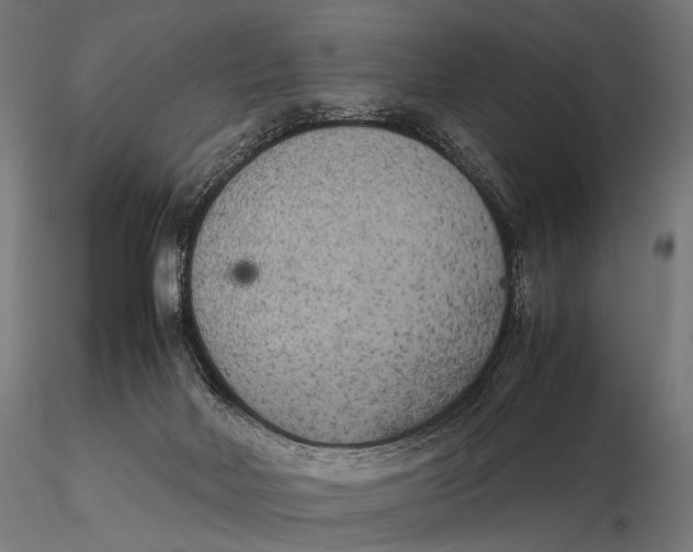X0000115720026200912031601