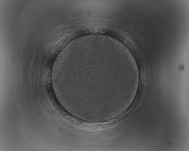 X0000115720029200912031601