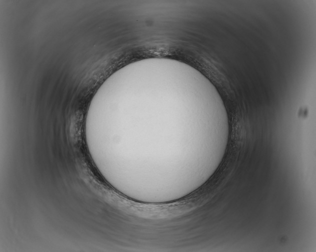 X0000115720030200912031601