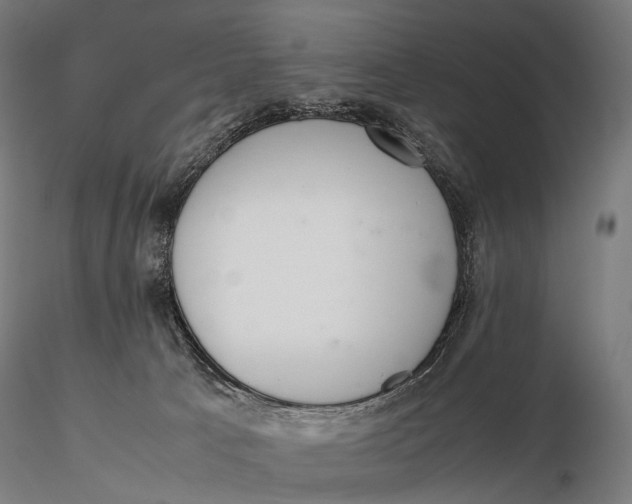 X0000115720033200912031601