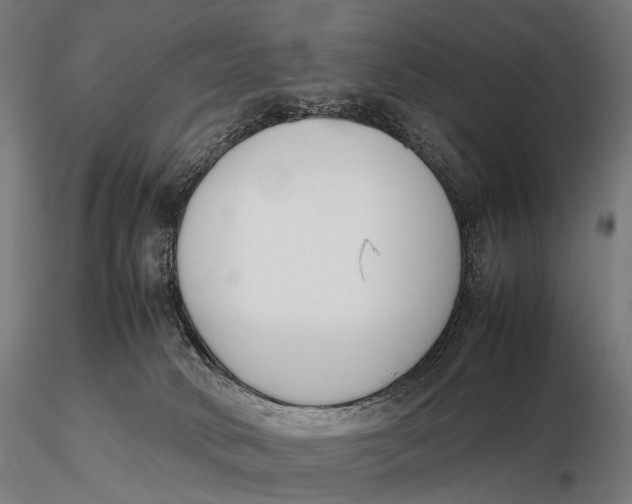 X0000115720034200912031601