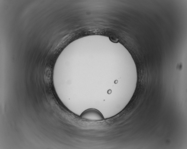 X0000115720036200912031601