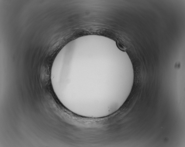 X0000115720040200912031601