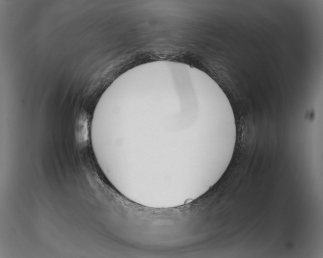 X0000115720042200912031601