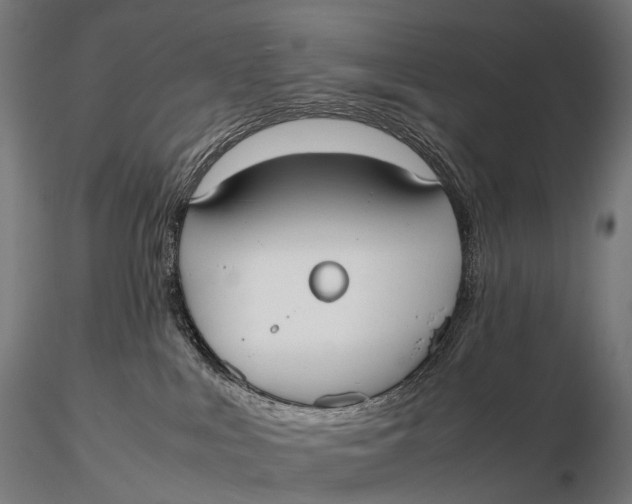 X0000115720043200912031601