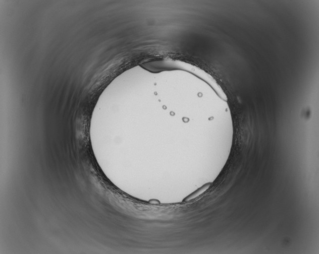 X0000115720044200912031601
