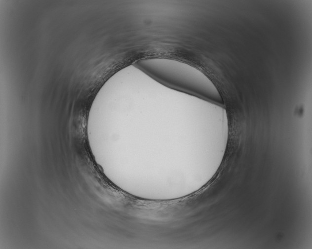 X0000115720045200912031601
