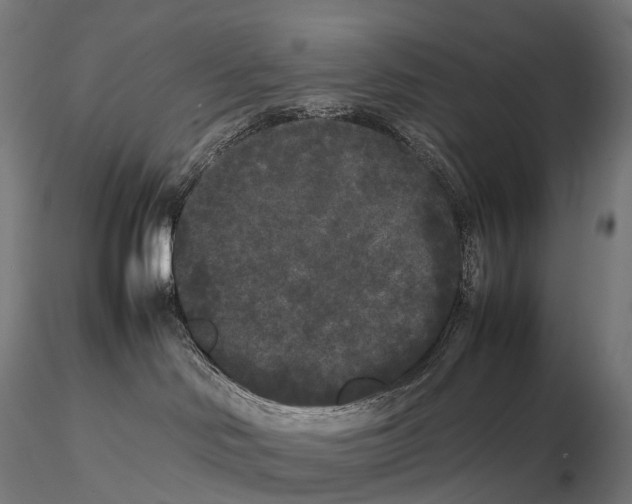 X0000115720046200912031601