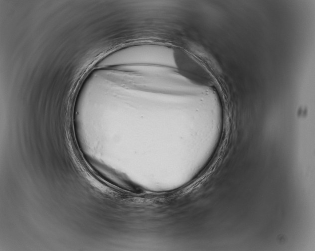 X0000115720049200912031600