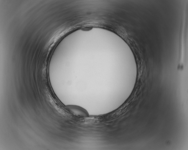 X0000115720050200912031600