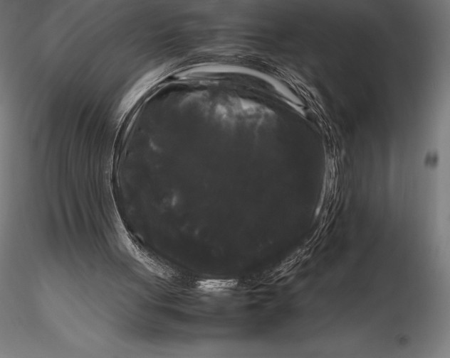 X0000115720051200912031600