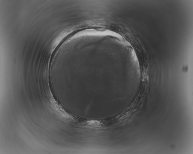 X0000115720052200912031600