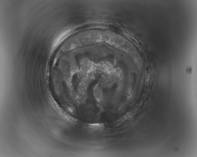 X0000115720053200912031600
