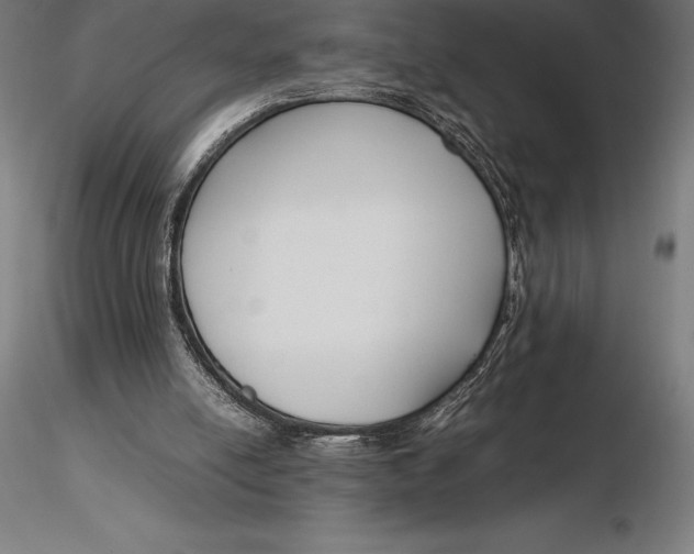 X0000115720054200912031600