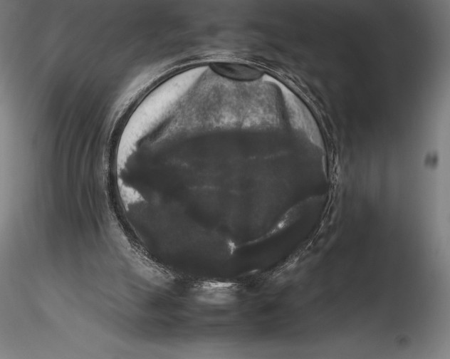 X0000115720055200912031600