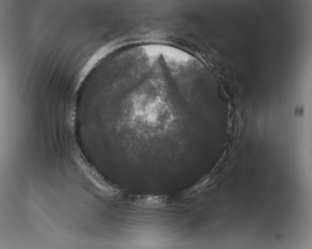X0000115720056200912031600