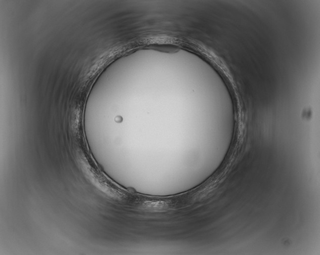 X0000115720057200912031600
