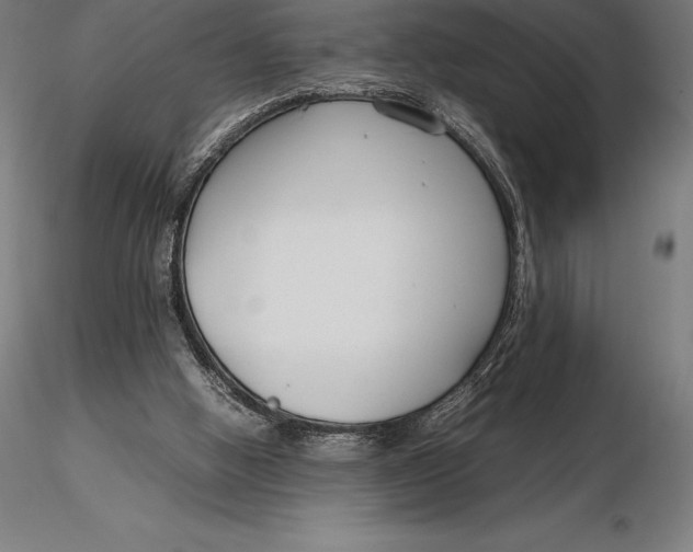 X0000115720058200912031600