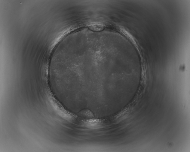 X0000115720059200912031600