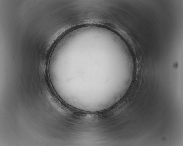 X0000115720060200912031600