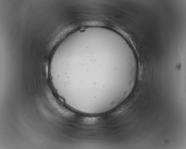 X0000115720061200912031600