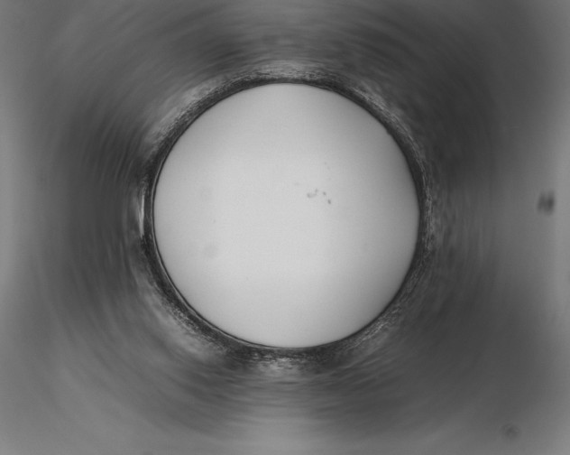 X0000115720062200912031600
