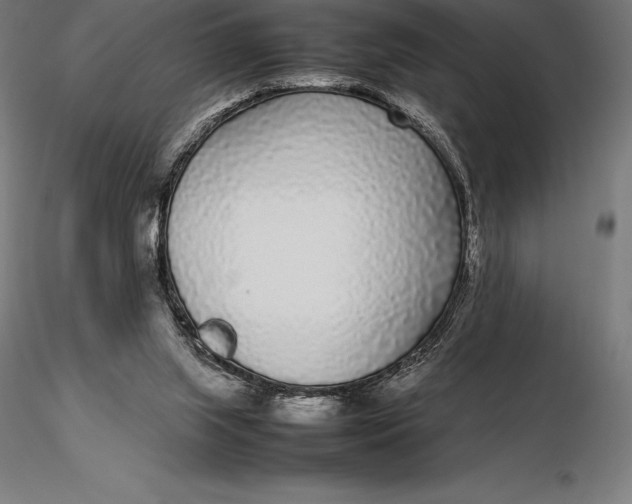 X0000115720063200912031600