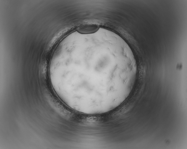 X0000115720064200912031600
