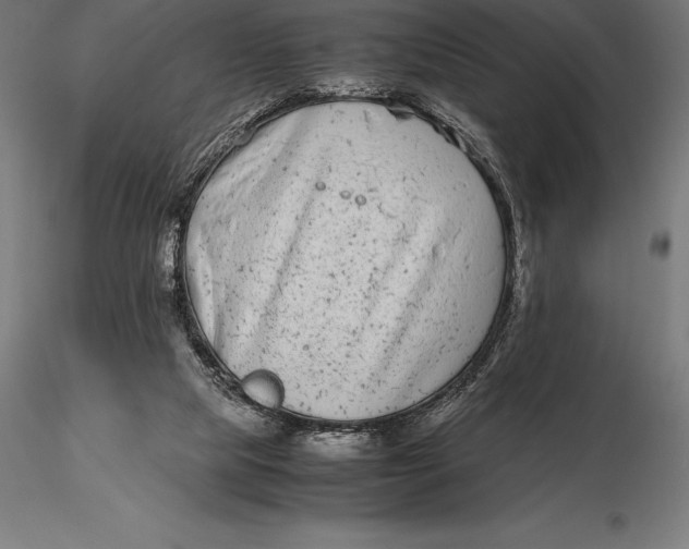 X0000115720065200912031600