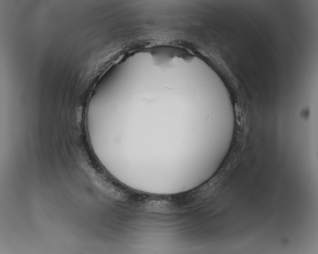 X0000115720066200912031600