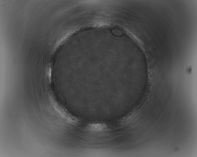 X0000115720067200912031600